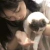 甘肃网友73067