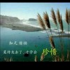 黑龙江网友24853