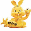 甘肃网友72882