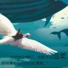 陕西网友48233