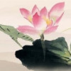 河北网友55765