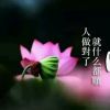 广东网友55424