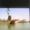 广东网友94913