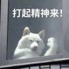 狂炫巧乐兹的头像-无忧免费游戏网