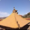 广西网友30176