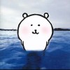 广东网友72385