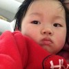 吉林网友79523