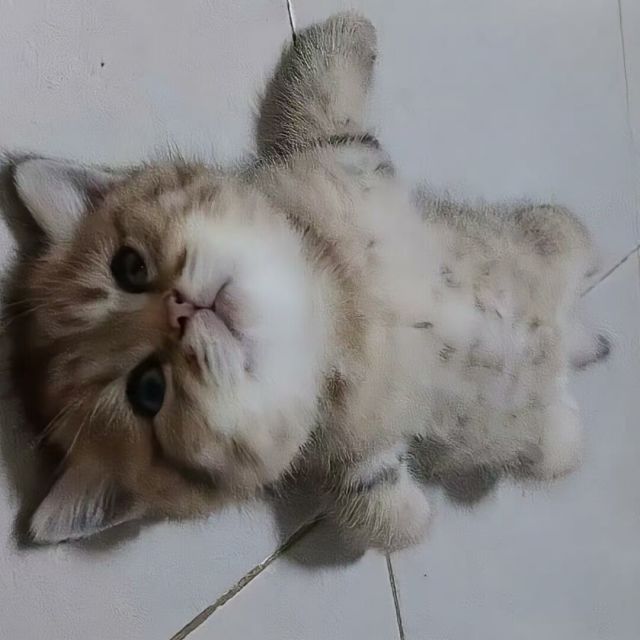 QQ邮箱头像