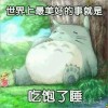 评论头像