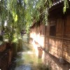 重庆网友72261