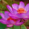 福建网友63513