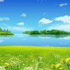 北京网友82716