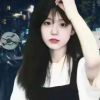 云南网友34565