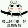 湖南网友66526