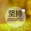 黑龙江网友39165