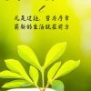 安徽网友86620