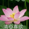 广西网友80900
