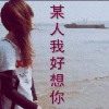 澳门网友86154