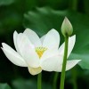 黑龙江网友52820