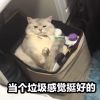 山东网友43611