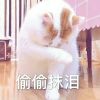 新疆网友90291