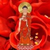 山西网友61185