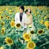 江苏网友39948