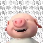 QQ头像