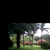 河南网友30305
