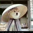QQ头像