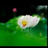 辽宁网友44669