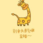 QQ头像