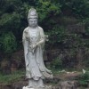 山东网友25520