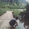 甘肃网友98396