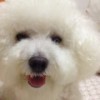 QQ头像