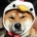 QQ头像