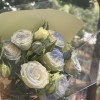 江苏网友68569