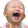 云南网友94323