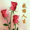 湖南网友29878