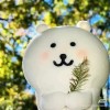 河南网友83455