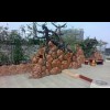 浙江网友78626