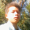 西藏网友22443