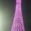 湖北网友47296