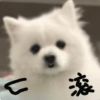 山西网友24887