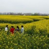 山东网友11992