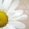 河南网友76143