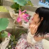 新疆网友57640