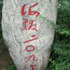 重庆网友18619