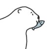 北京网友43915