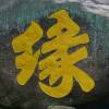 澳门网友52176